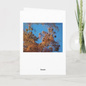 ブライアンの木， AutumnPosine カード (裏面)