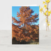 ブライアンの木， AutumnPosine カード (黄色い花)