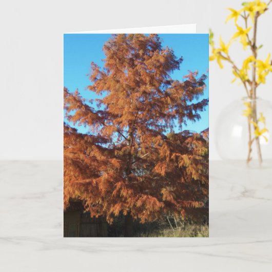 ブライアンの木， AutumnPosine カード (黄色い花)