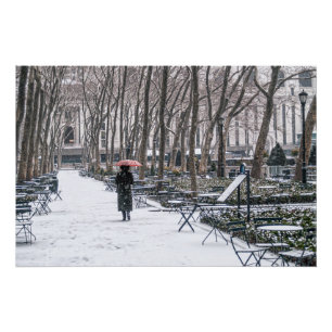 ブライアントパークの雪 ポスター