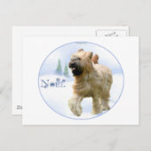 ブライアードノエル シーズンポストカード (正面/裏面)