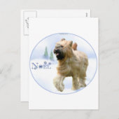 ブライアードノエル シーズンポストカード (正面/裏面)