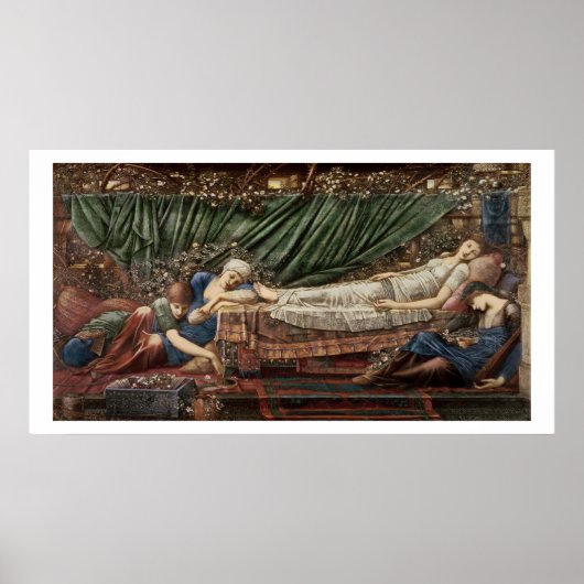 'ブライアーバラ'シリーズ, 4:眠っている美しい, 1 ポスター (正面)