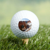 ブライスキャニオンナチュラルブリッジ雪景色の写真 ゴルフボール (インサイチュ 木)