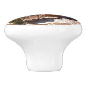 ブライスキャニオンナチュラルブリッジ雪景色の写真 セラミックノブ (側面)