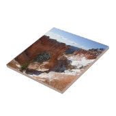 ブライスキャニオンナチュラルブリッジ雪景色の写真 タイル (側面)