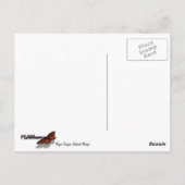 ブライスキャニオンナチュラルブリッジ雪景色の写真 ポストカード (裏面)