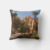 ブライスキャニオン国立公園トレイル クッション (裏面)