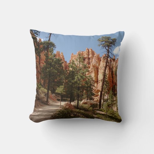 ブライスキャニオン国立公園トレイル クッション (正面)