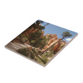 ブライスキャニオン国立公園トレイル タイル (側面)