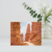 ブライスキャニオン国立公園トレイル ポストカード (スタンド正面)