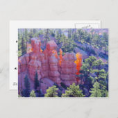 ブライスキャニオン白熱［赤熱］光を放つ ポストカード (正面/裏面)