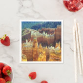 ブライスキャニオン スタンダードカクテルナプキン (インサイチュ)