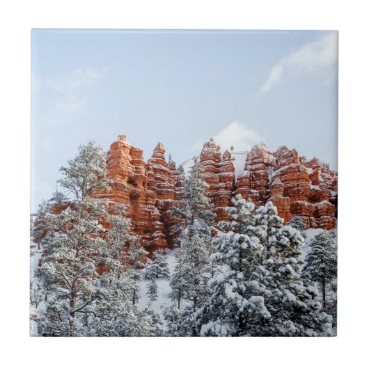 ブライスキャニオン タイル (正面)