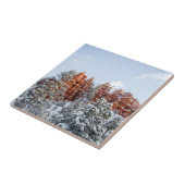 ブライスキャニオン タイル (側面)