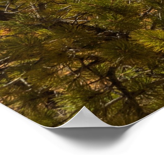 ブライス渓谷国立公園の砂漠の風景 ポスター (角)