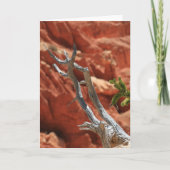 ブライス渓谷場面 カード (正面)