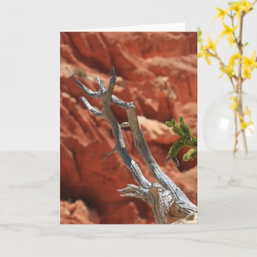 ブライス渓谷場面 カード (黄色い花)
