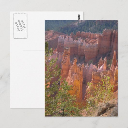 ブライス ポストカード (正面/裏面)