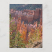 ブライス ポストカード (正面)