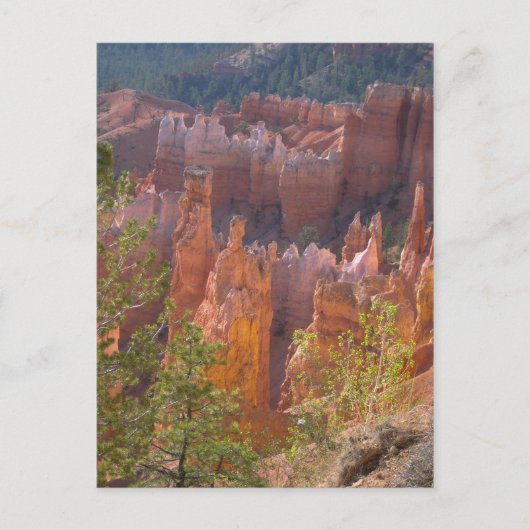 ブライス ポストカード (正面)