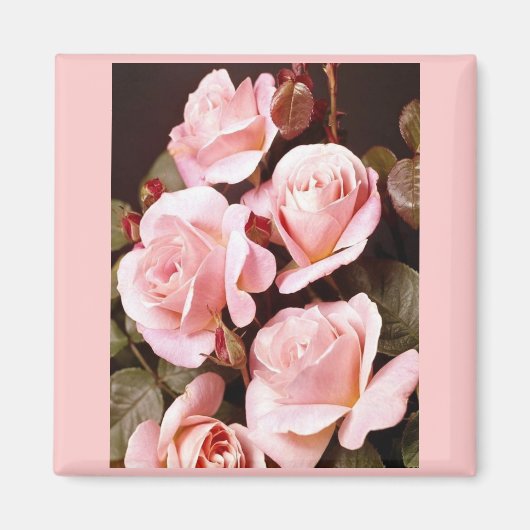 ブライダルシャワーの好意 マグネット (正面)