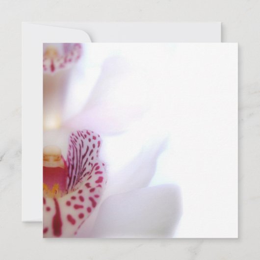 ブライダルシャワーの招待状 招待状 (裏面)