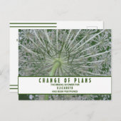 ブライダルシャワーの計画変更 クイーンアンのレース ポストカード (正面/裏面)