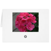 ブライダルシャワーバラゼラニウムサンキューカー空白のド (裏面横)