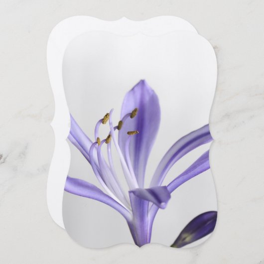 ブライダルシャワーパーティーデスティニーの運命 招待状 (正面/裏面)