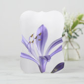 ブライダルシャワーパーティーデスティニーの運命 招待状 (スタンド正面)