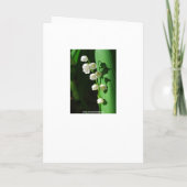 ブライダルシャワー招待峡谷のリリー 招待状 (裏面)