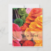 ブライダルシャワー招待状 招待状 (裏面)