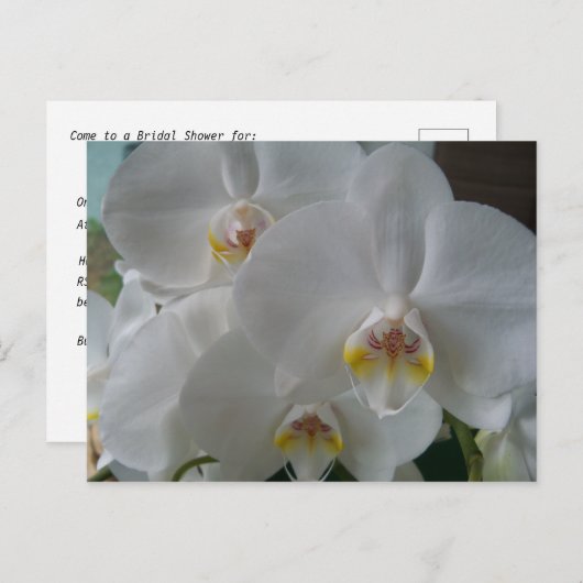 ブライダルシャワー招待白い蘭はがき インビテーションポストカード (正面/裏面)