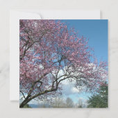 ブライダルシャワー招待、さくらんぼ開花ツリー 招待状 (裏面)