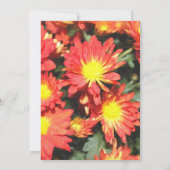 ブライダルシャワー招待、オレンジ色のデイジー花 招待状 (裏面)