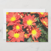 ブライダルシャワー招待、オレンジ色のデイジー花 招待状 (裏面)