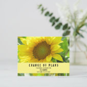 ブライダルシャワー 計画変更 ハルディ ポストカード (スタンド正面)