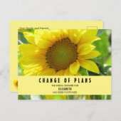 ブライダルシャワー 計画変更 ハルディ ポストカード (正面/裏面)