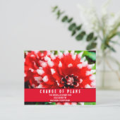 ブライダルシャワー 計画変更 レッド ダリア ポストカード (スタンド正面)