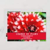 ブライダルシャワー 計画変更 レッド ダリア ポストカード (正面/裏面)