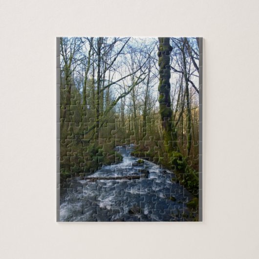 ブライダルベールからのランオフ秋、または ジグソーパズル (縦)