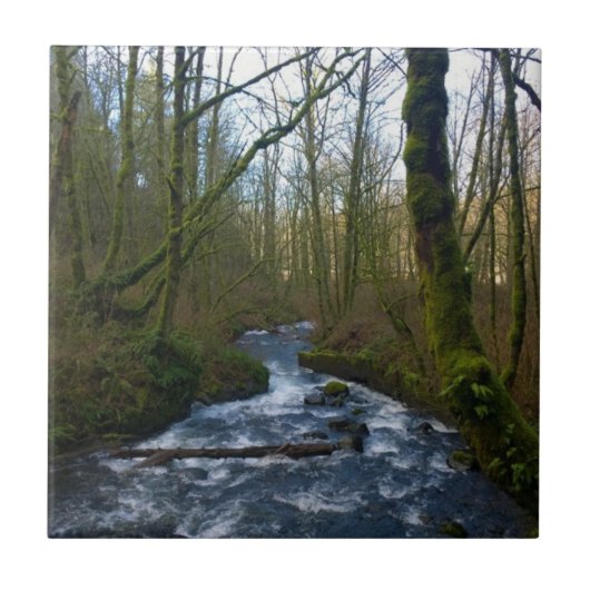 ブライダルベールからのランオフ秋、または タイル (正面)