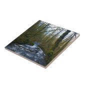 ブライダルベールからのランオフ秋、または タイル (側面)