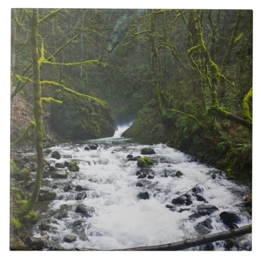 ブライダルベールからのランオフ秋、または タイル (正面)