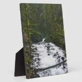 ブライダルベールからのランオフ秋、または フォトプラーク (側面)