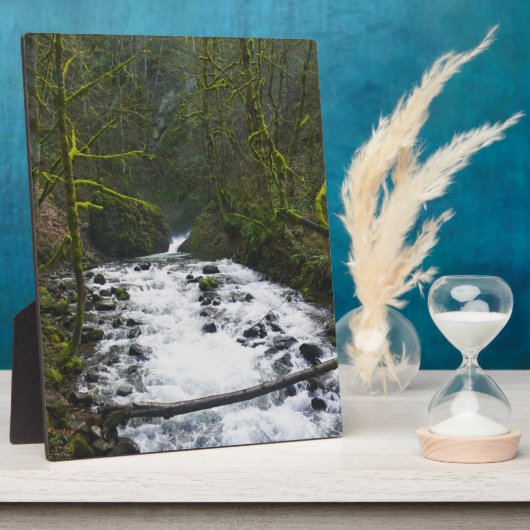 ブライダルベールからのランオフ秋、または フォトプラーク (側面)