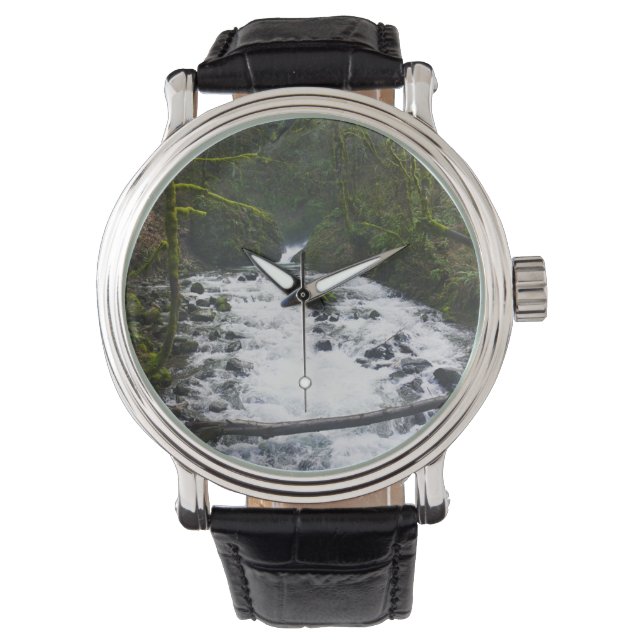 ブライダルベールからのランオフ秋、または 腕時計 (正面)