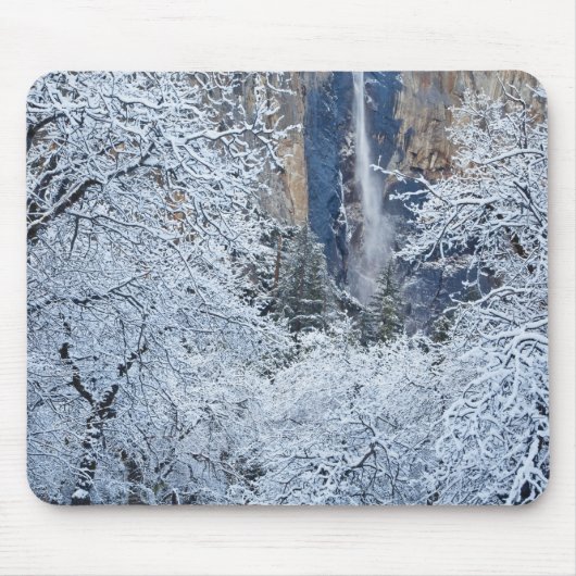 ブライダルベール下面の樹々の新雪 マウスパッド (正面)