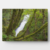 ブライダルベール滝 フォトプラーク (正面)